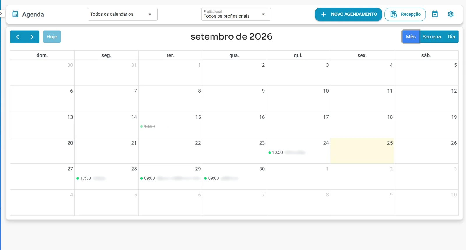 Módulo Agenda do Zontalk em visão mensal com filtro por profissional